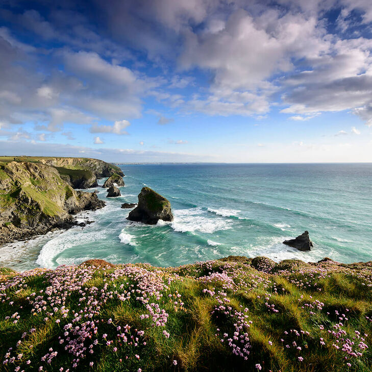 Blick auf die Bedruthan Steps mit Frühlings-Blumen, Nord-Cornwall