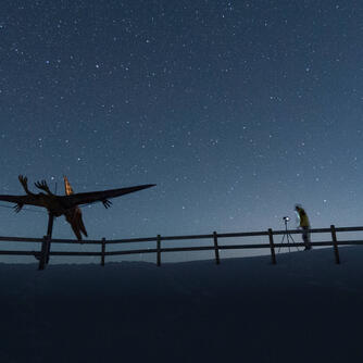 Hartmut beim Nachtporträt am Flugsaurier auf der Steinplatte