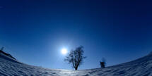 Monduntergang hinterm Baum mit Fotograf bei der Arbeit im Schnee